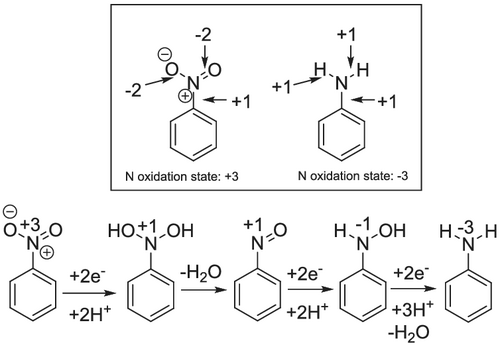 aoc6452-fig-0004-m.png