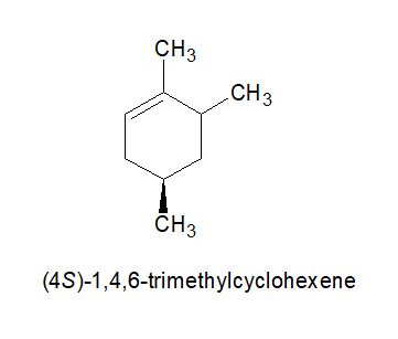 cip002.JPG