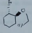 Pro2.PNG